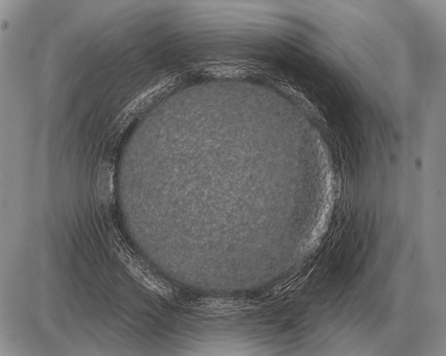 X0000085060733200703191324