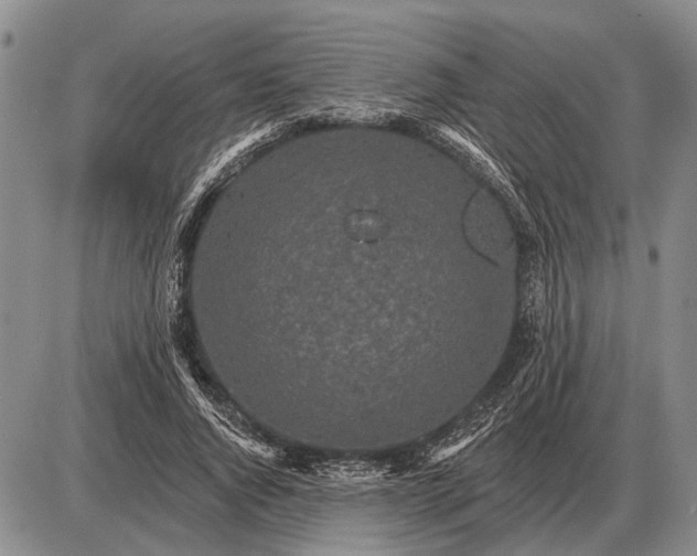 X0000085060736200703191324