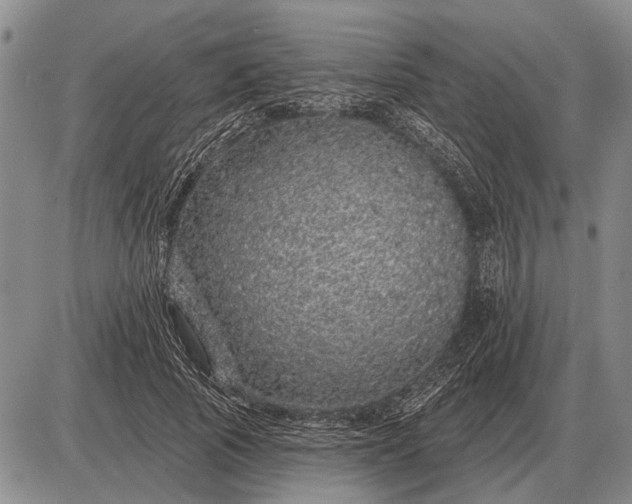 X0000085060737200703191324