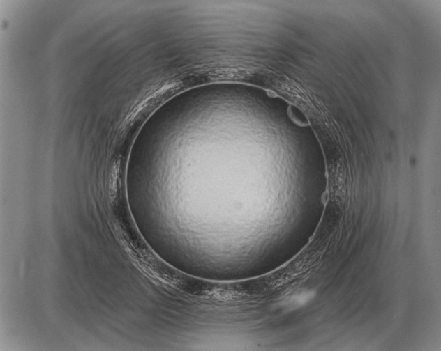 X0000085060742200703191324