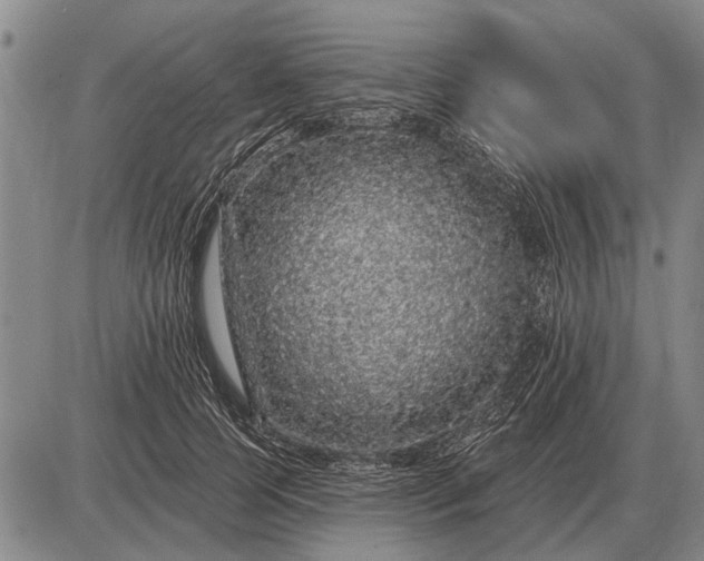 X0000085060745200703191324