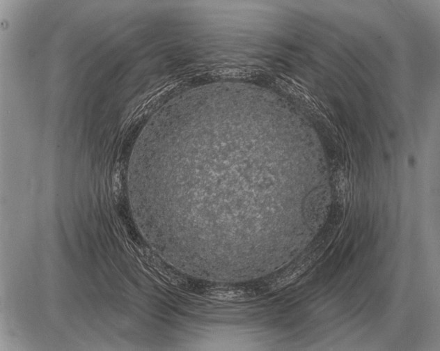 X0000085060746200703191324