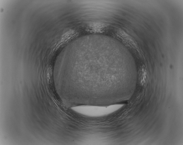 X0000085060747200703191324