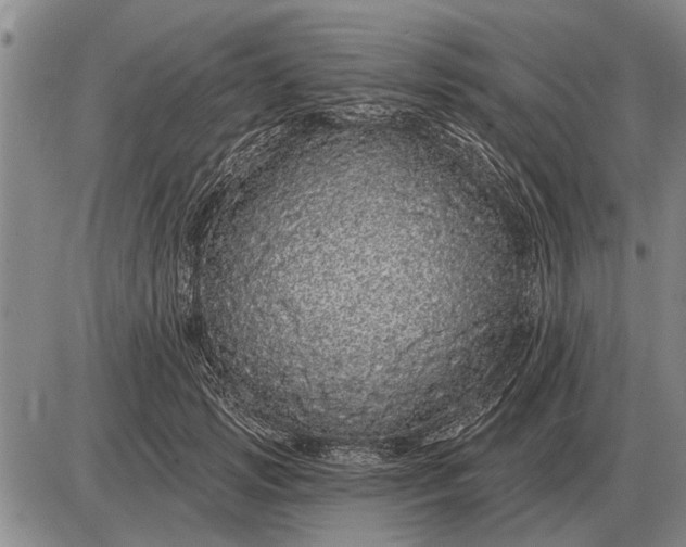 X0000085060749200703191324