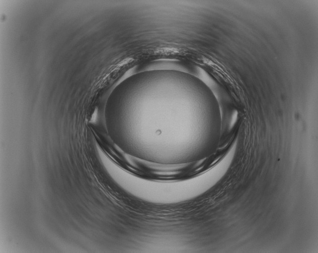 X0000085060750200703191324