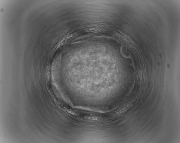 X0000085060751200703191324