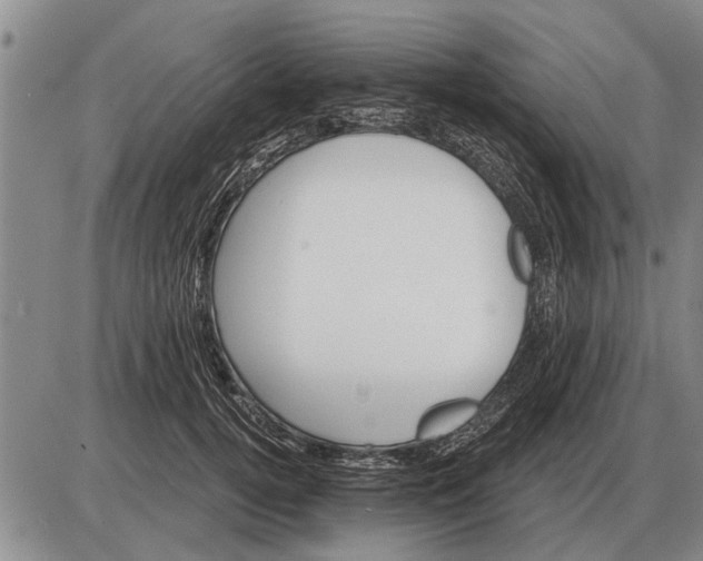 X0000085060752200703191324