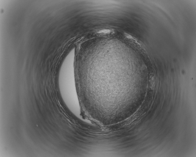 X0000085060753200703191324