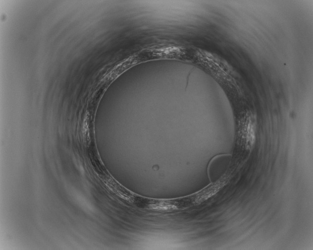 X0000085060754200703191324