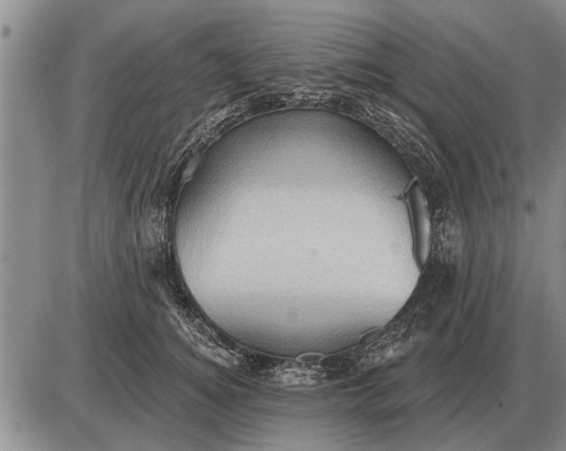 X0000085060756200703191324