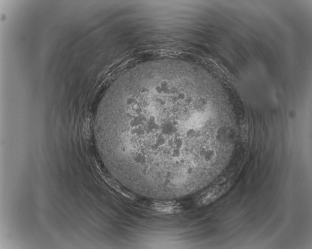 X0000085060757200703191324