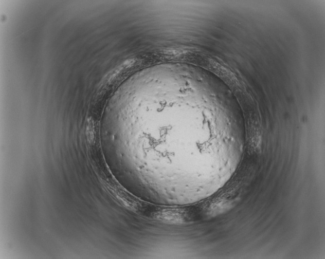 X0000085060758200703191324