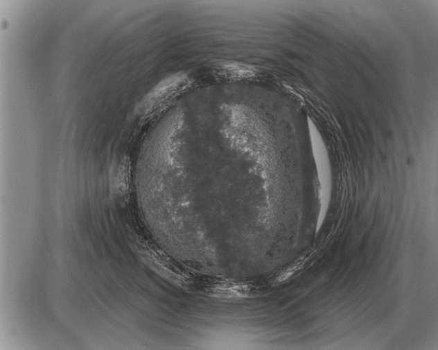 X0000085060760200703191325