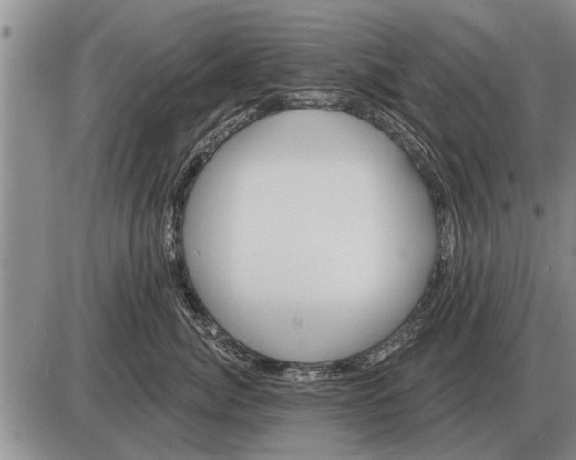 X0000085060764200703191325