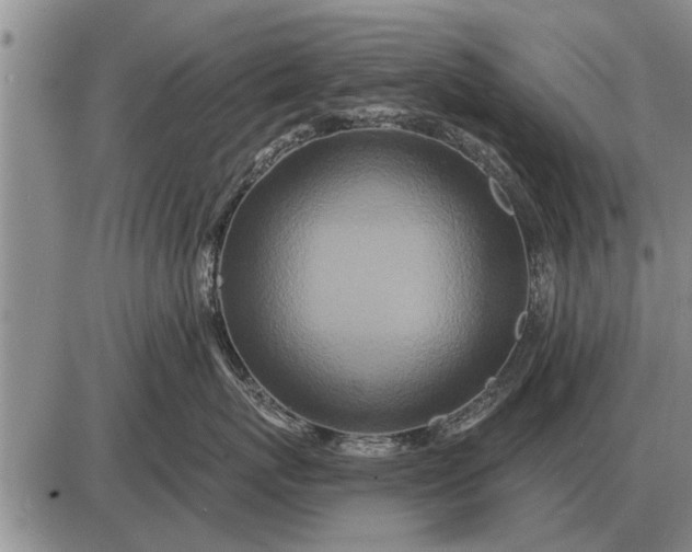 X0000085060767200703191325