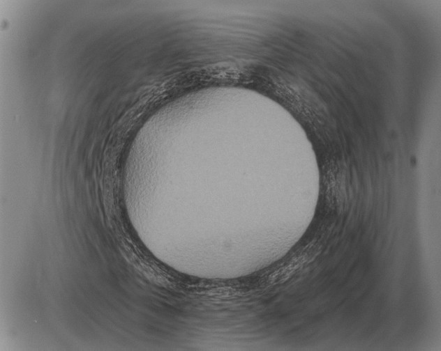 X0000085060769200703191324