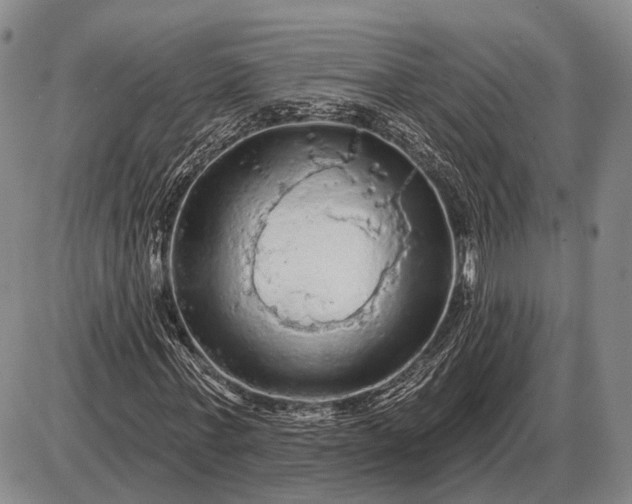 X0000085060771200703191324