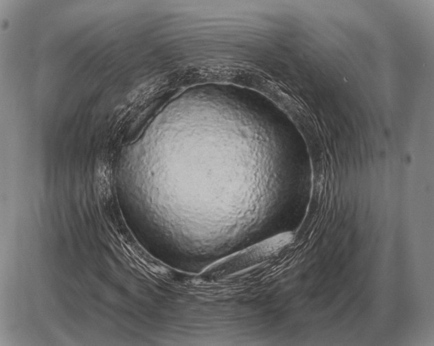 X0000085060772200703191324