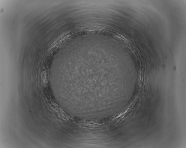 X0000085060774200703191324