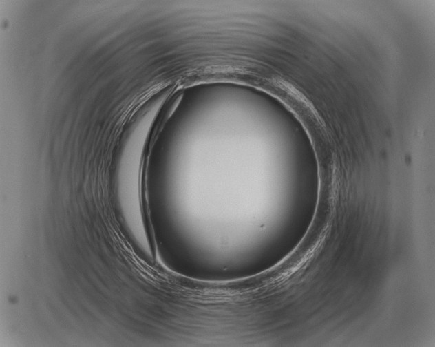 X0000085060777200703191324