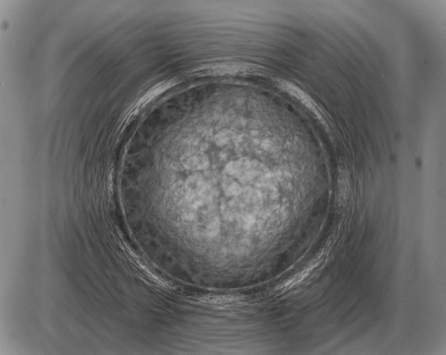 X0000085060778200703191324