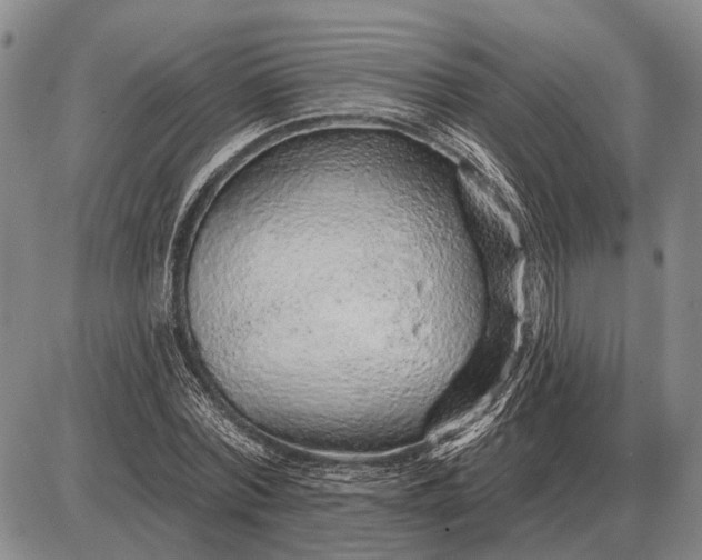 X0000085060780200703191324