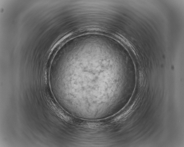 X0000085060782200703191324