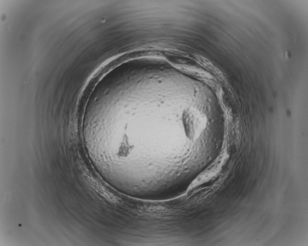 X0000085060784200703191324