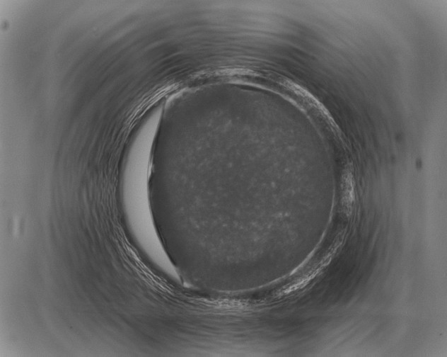 X0000085060785200703191324