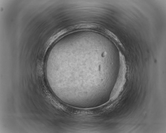 X0000085060786200703191324