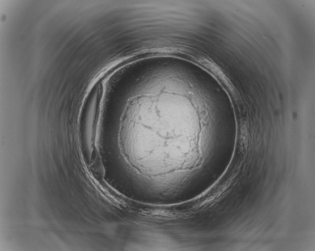 X0000085060787200703191324