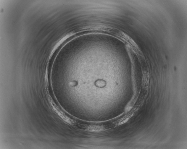 X0000085060788200703191324