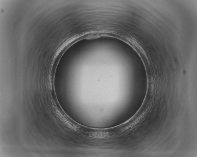 X0000085060789200703191324