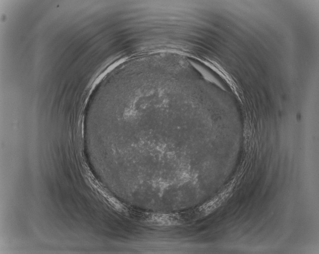 X0000085060790200703191323