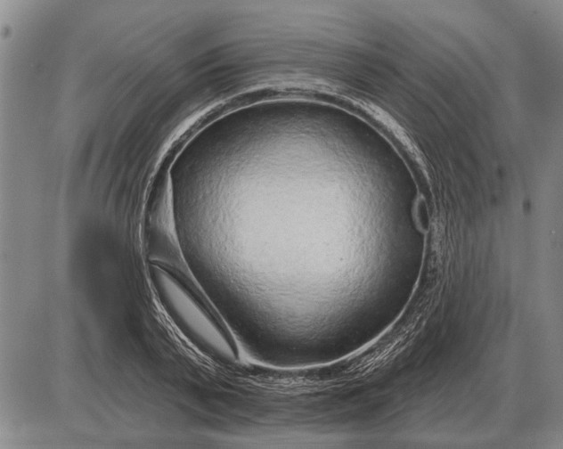 X0000085060791200703191323