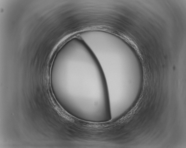 X0000085060792200703191323