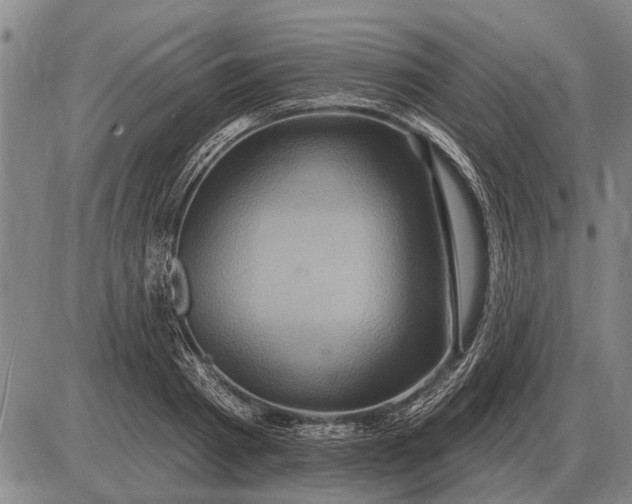 X0000085060793200703191323