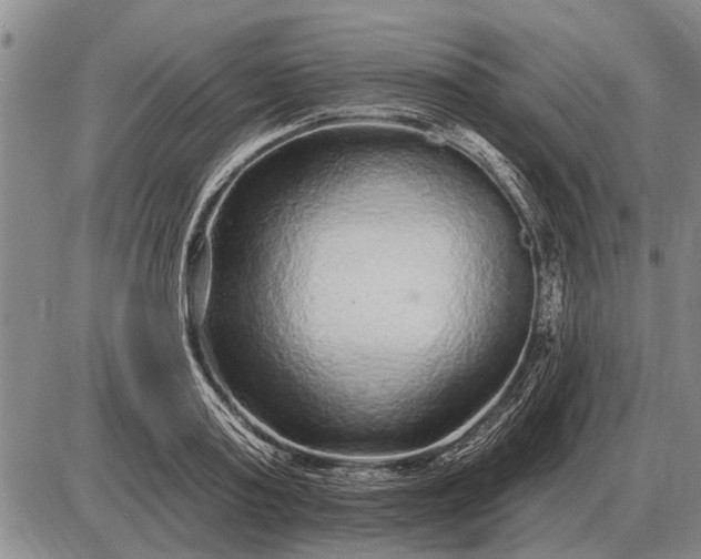 X0000085060795200703191323