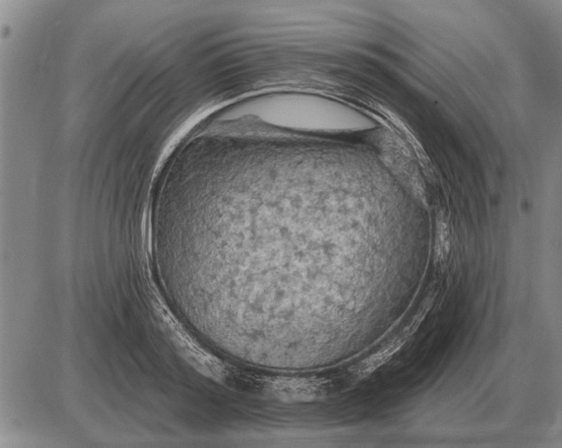 X0000085060796200703191323