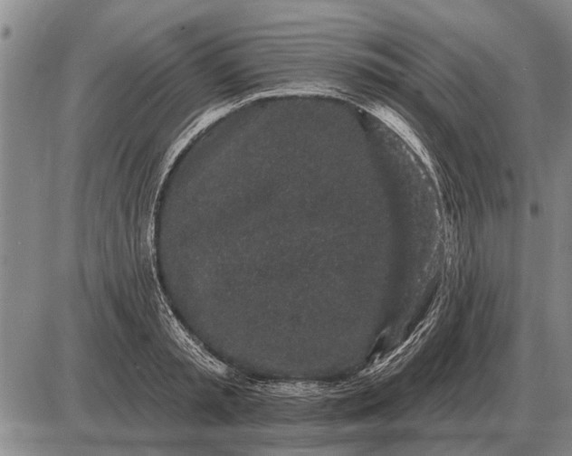 X0000085060797200703191323