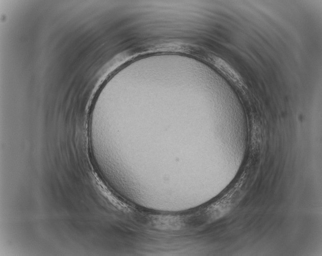 X0000085060800200703191323