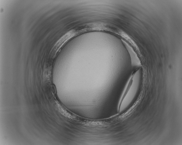 X0000085060801200703191323