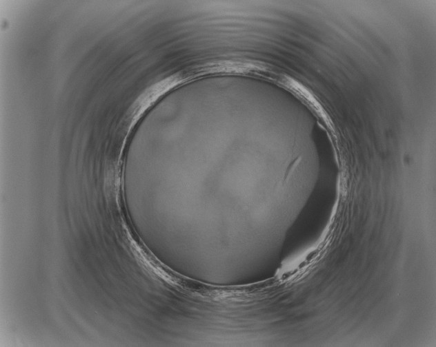 X0000085060802200703191323