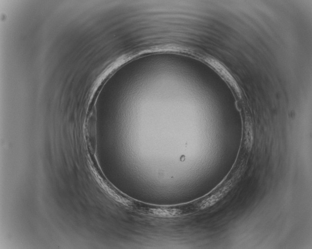 X0000085060805200703191323