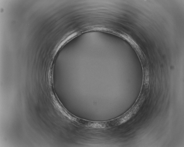 X0000085060806200703191323