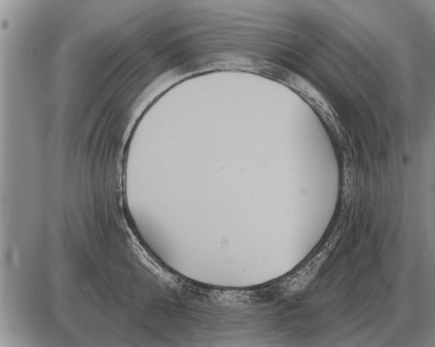 X0000085060808200703191323