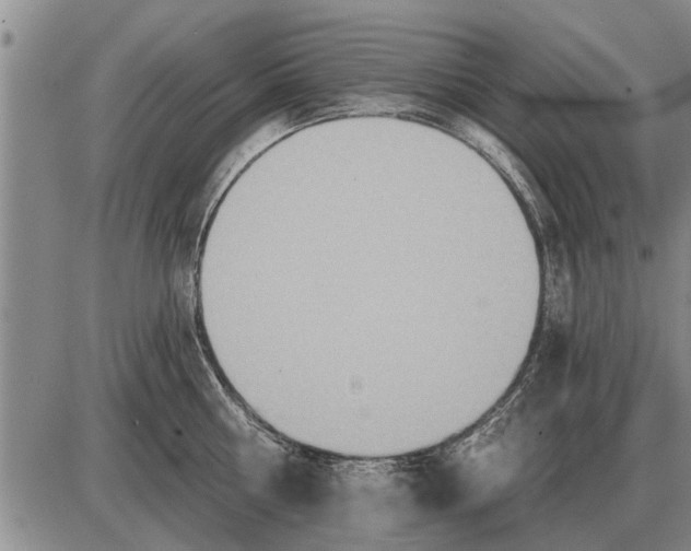 X0000085060810200703191323