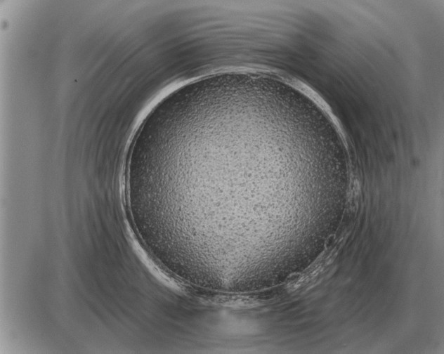 X0000085060811200703191323