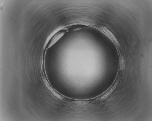 X0000085060812200703191323