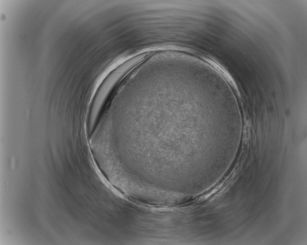 X0000085060813200703191323